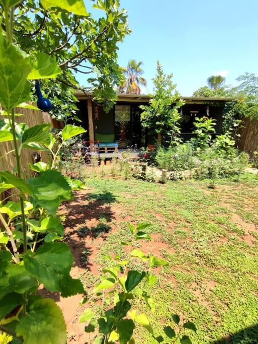 !!Welcome to the Jungle!!! Almond House - Housity