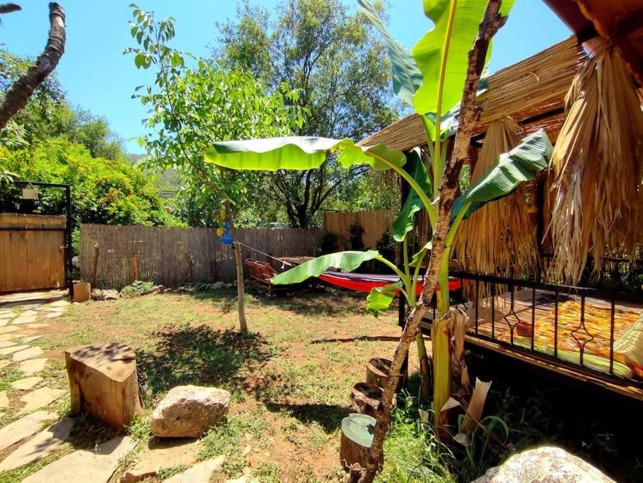 Tiny House Ceviz Kayaköy Jungle Camping - Housity