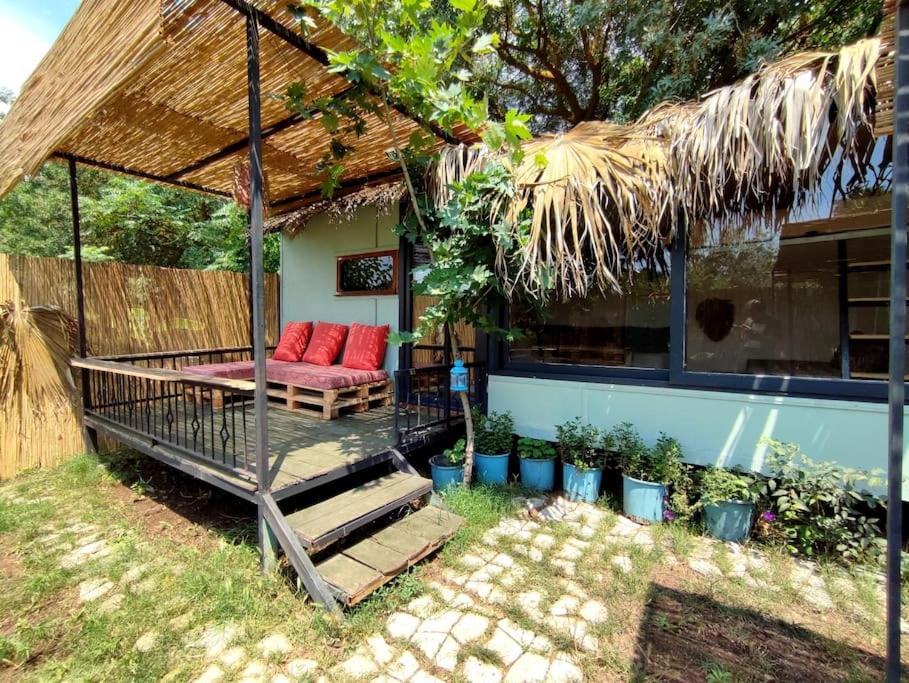 Tiny House Çınar -Jungle Camping - Housity