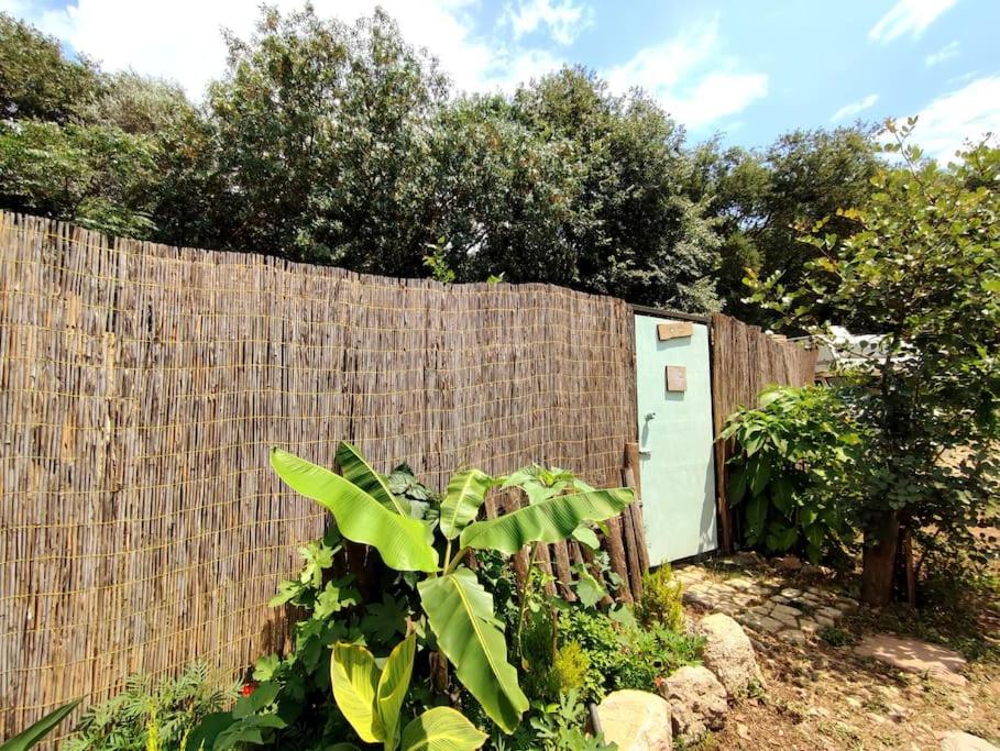 Tiny House Çınar -Jungle Camping - Housity