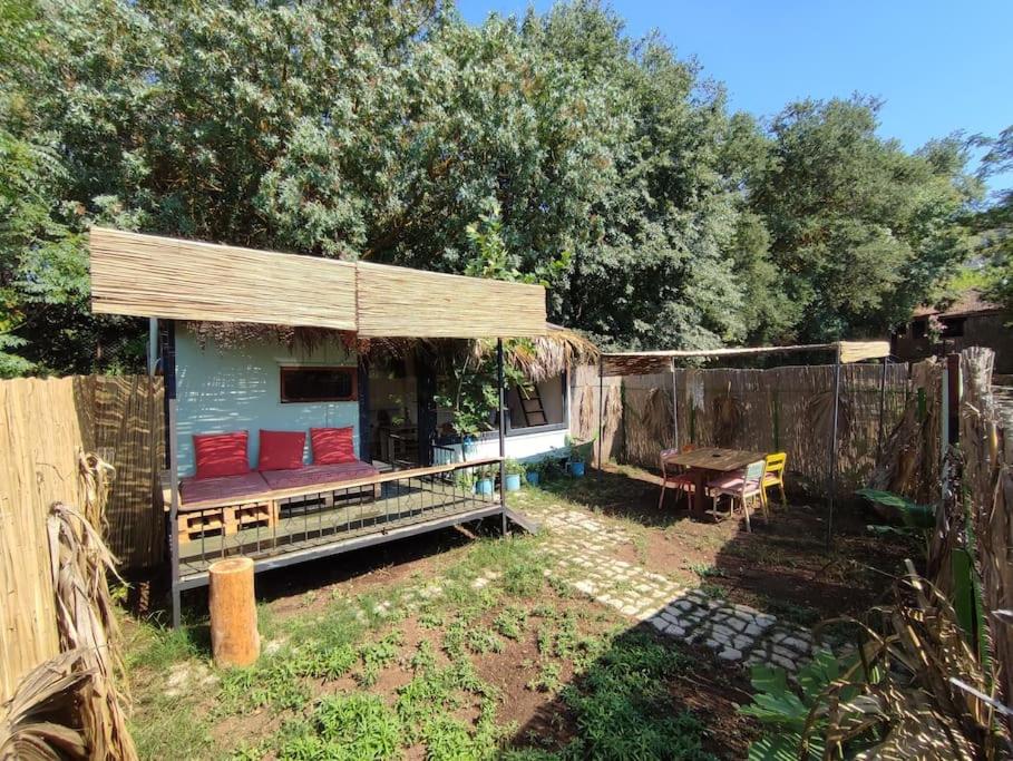 Tiny House Çınar -Jungle Camping - Housity