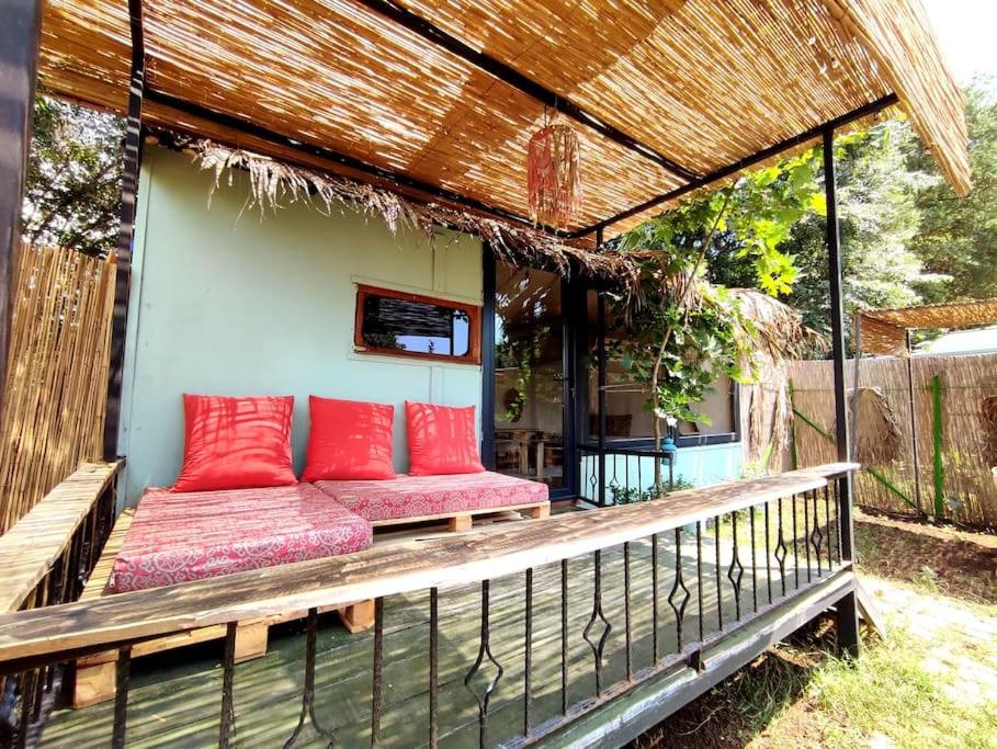 Tiny House Çınar -Jungle Camping - Housity