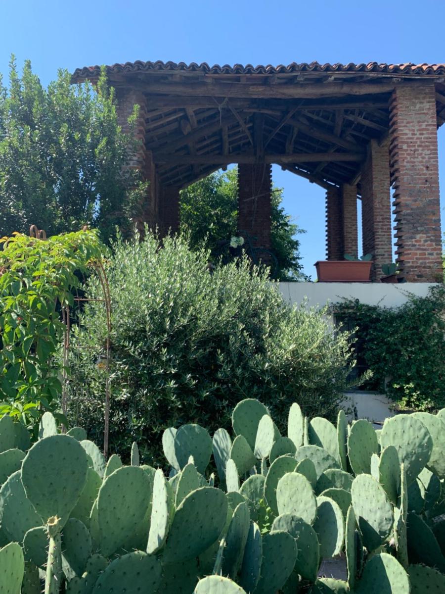 Ca' degli Ovi b&b - Housity