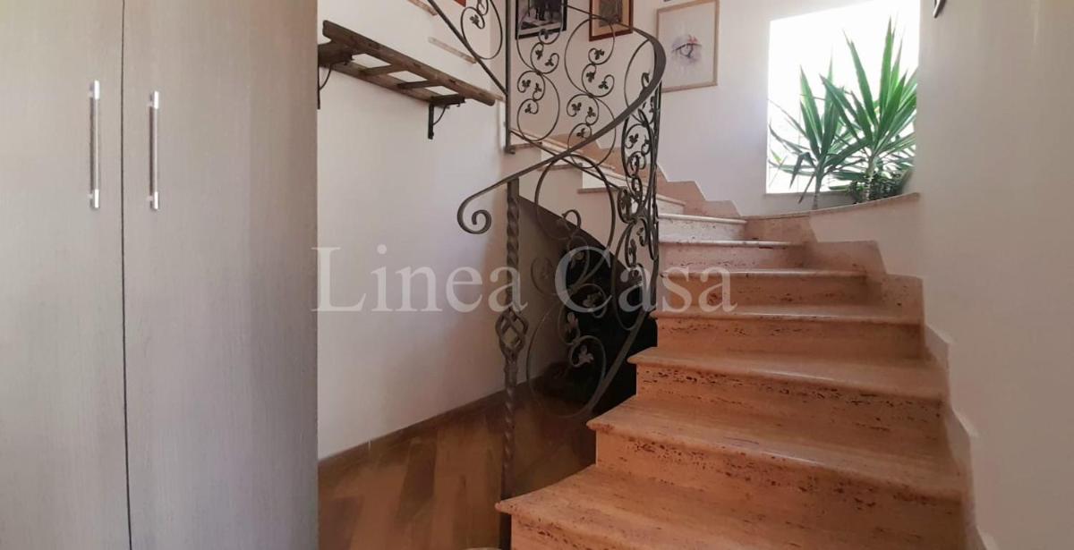 GARDEN HOUSE - Housity