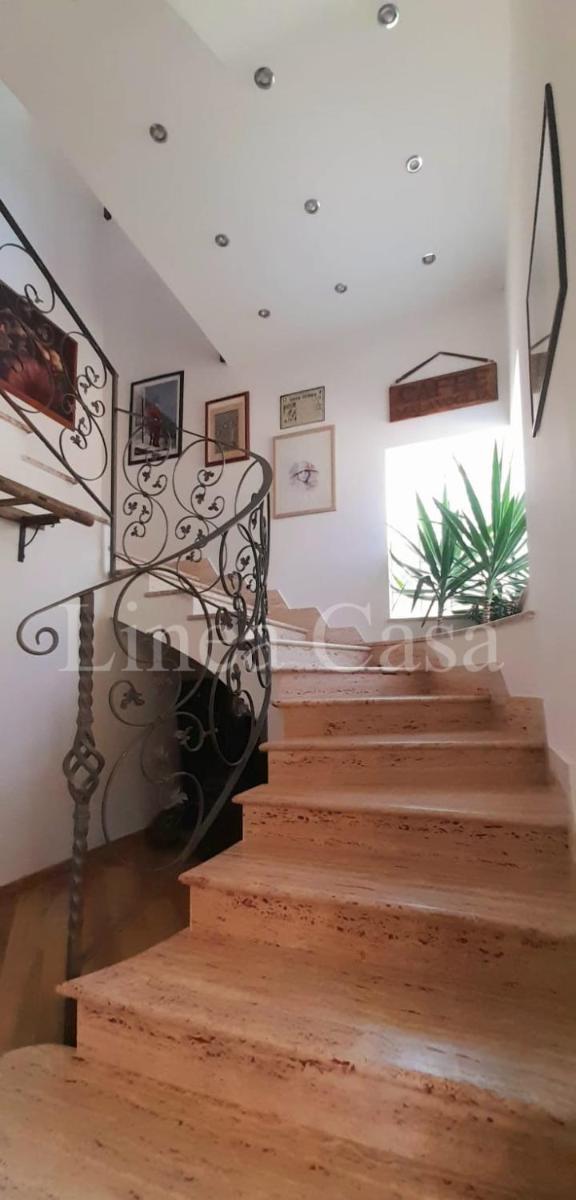 GARDEN HOUSE - Housity