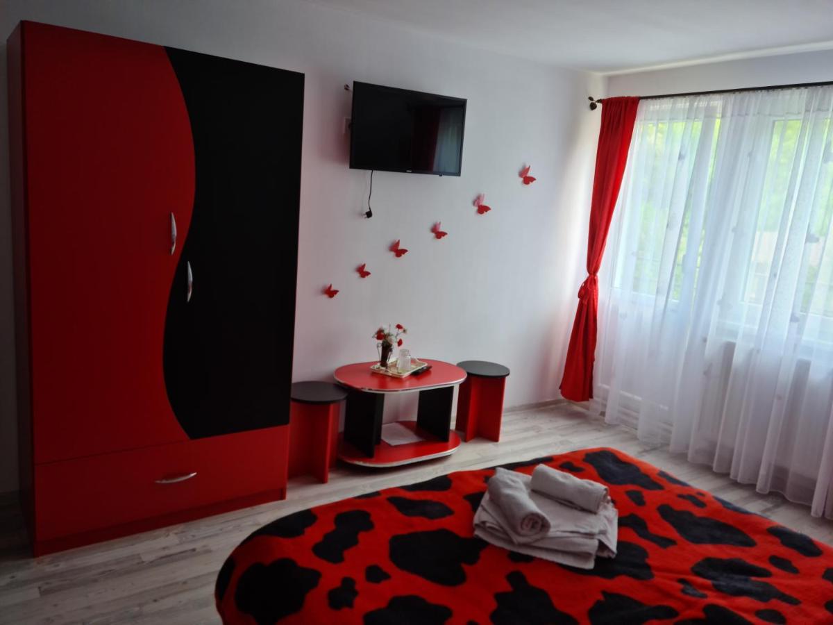 Pensiunea Constanta - Housity