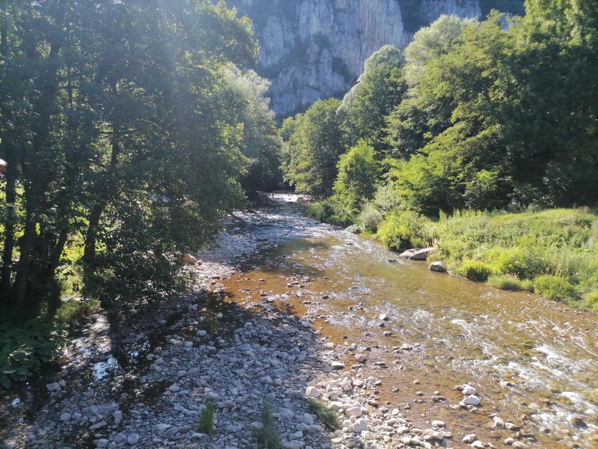 Apartmani LENA Poganovo - Housity