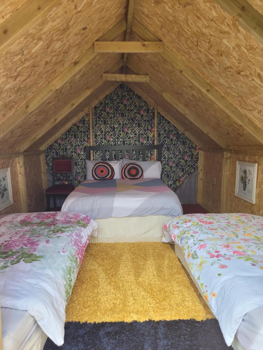 Shannon Estuary Glamping - Housity