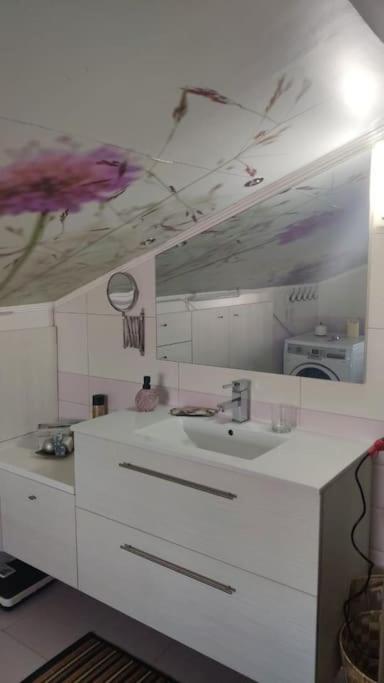 Eliolouste sophita scandinavian aisthetikes - Housity