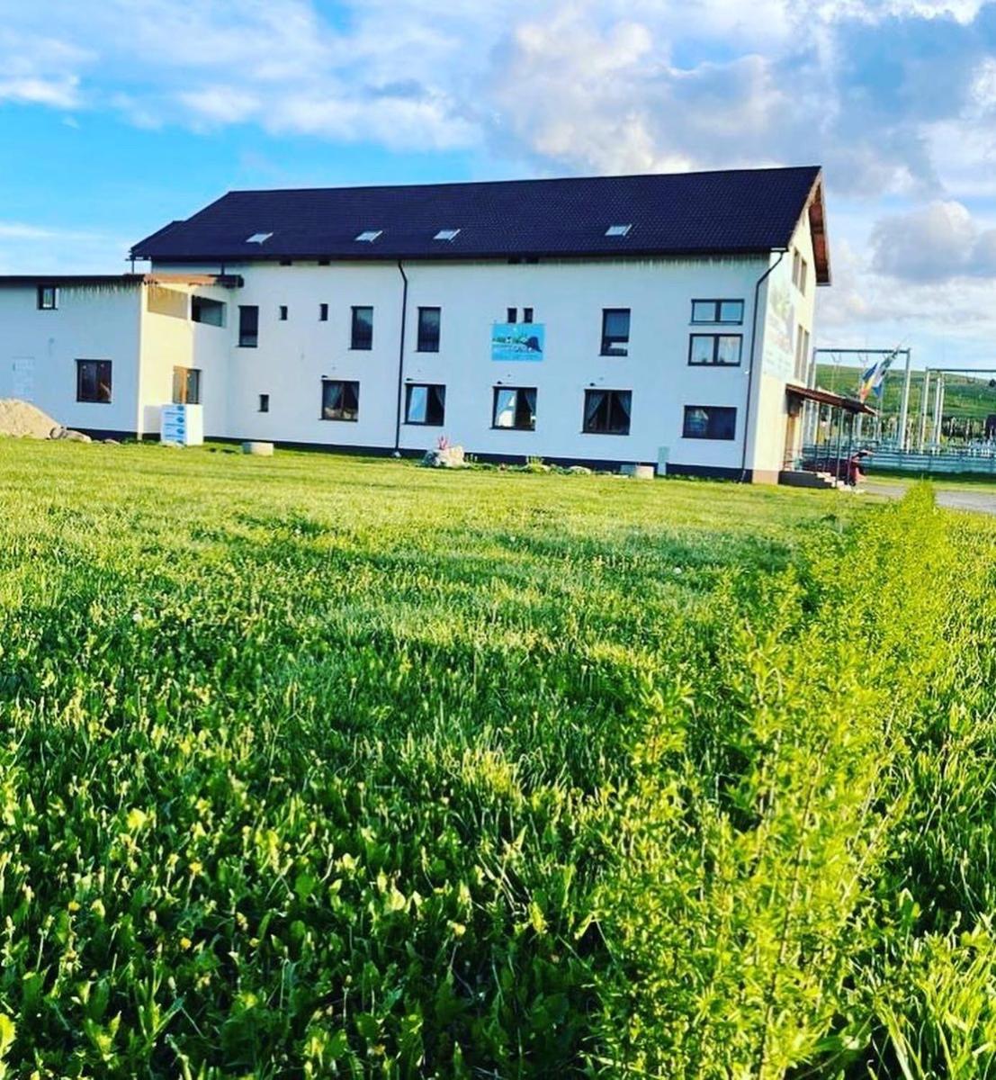 Pensiunea La Gagea - Housity