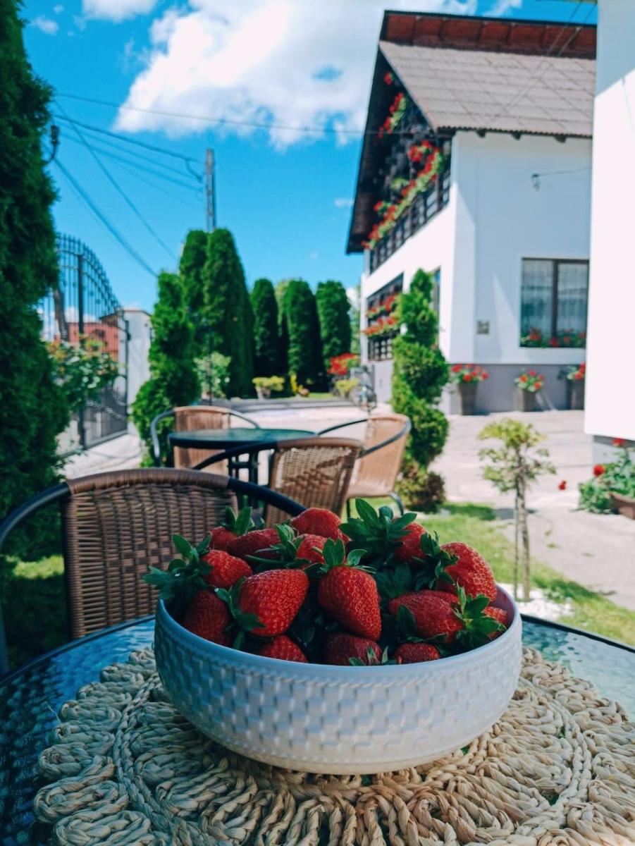 Pensiunea Casa Andreea - Bârsana Maramureș - Housity