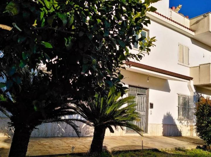 Punto Verde B&B - Housity