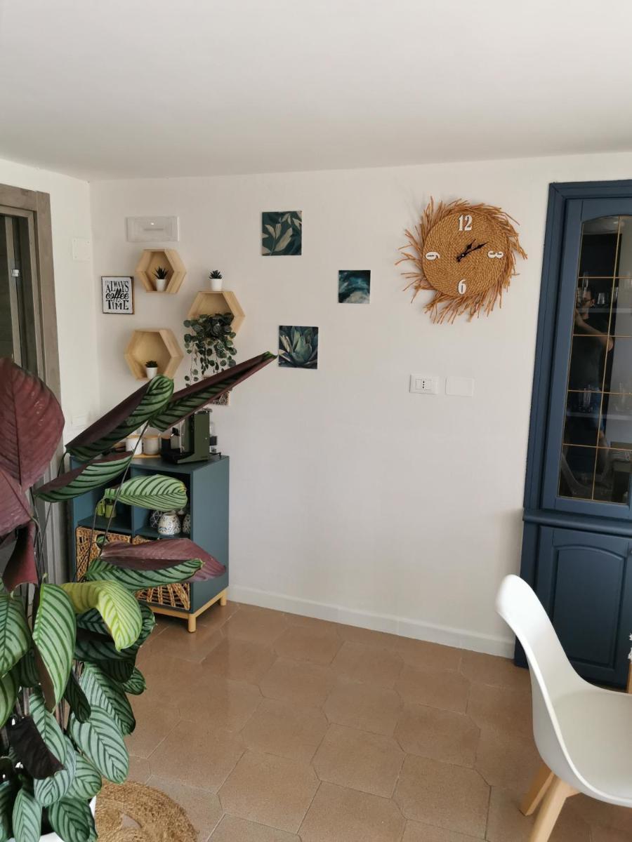 Rachel's House - Housity