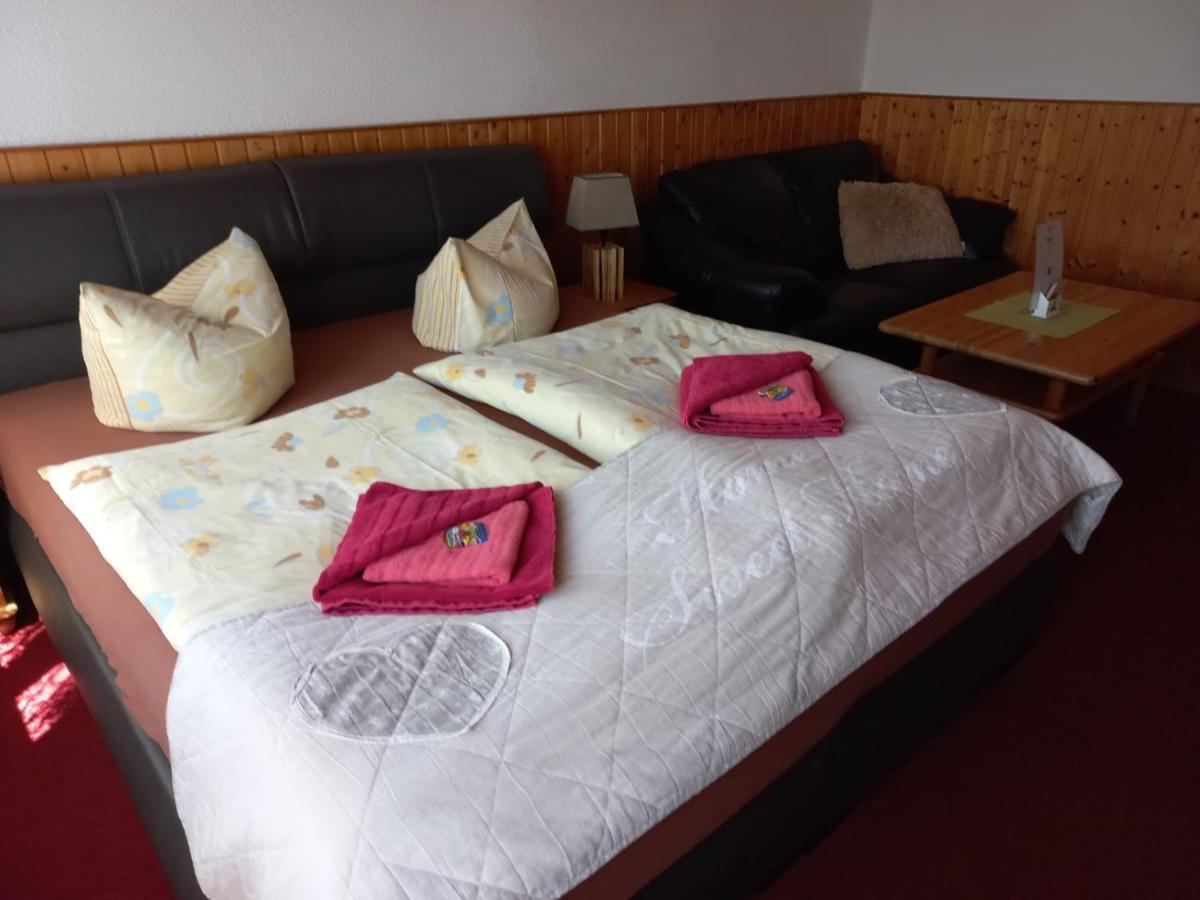 Pension Zur Elbe - Housity