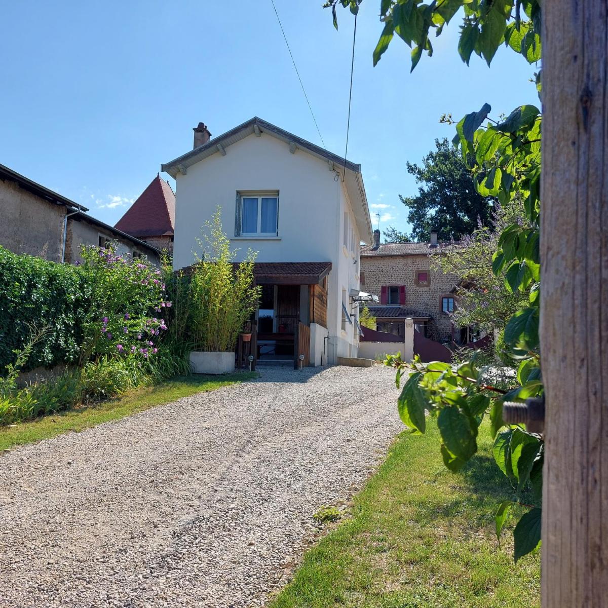 Le Chant de l'Alyte - Housity
