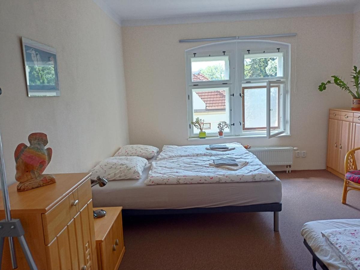 Apartmán Zahrádka - Housity