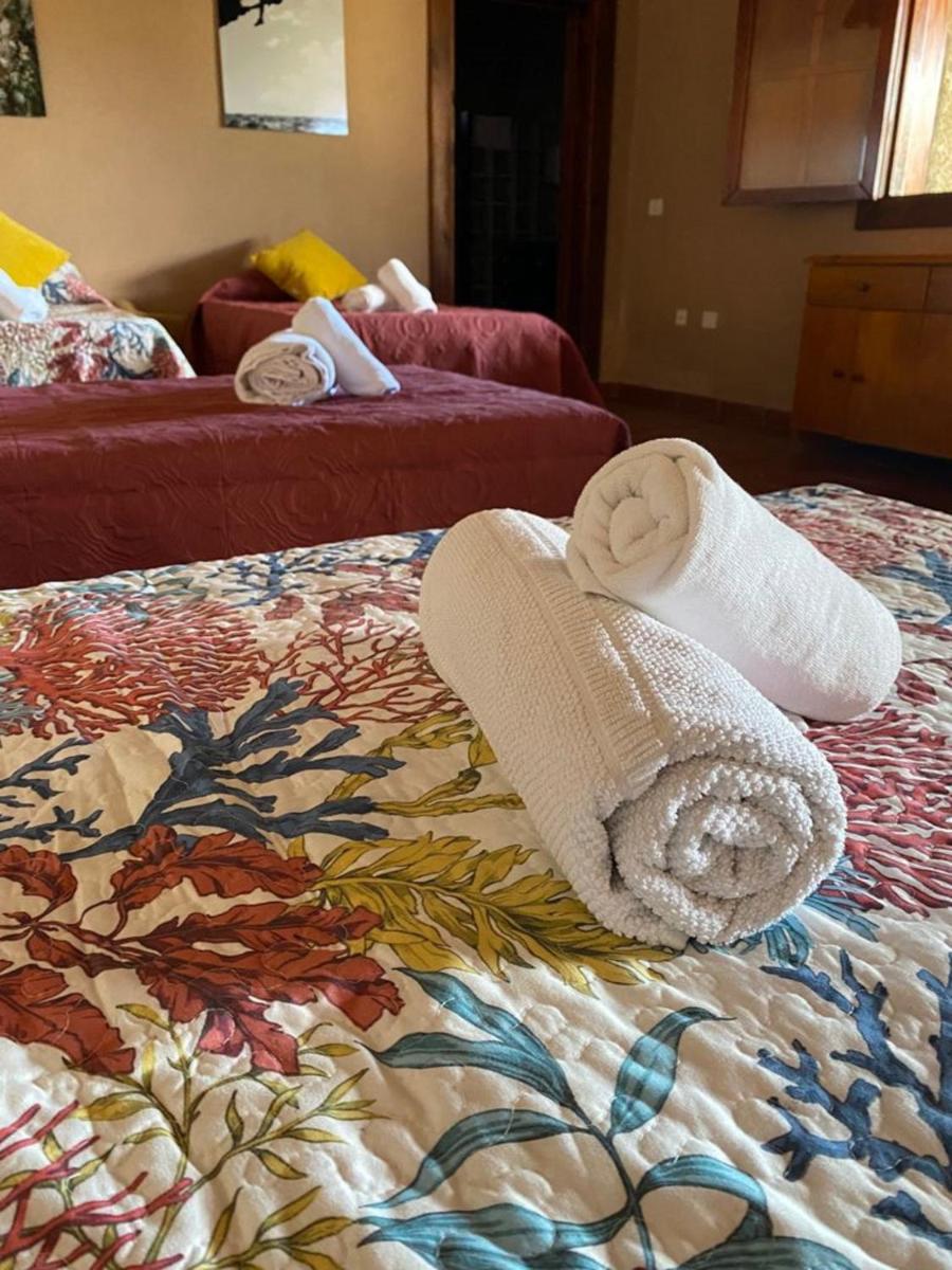Casa Rural Los Olivos Arico relax hiking - Housity