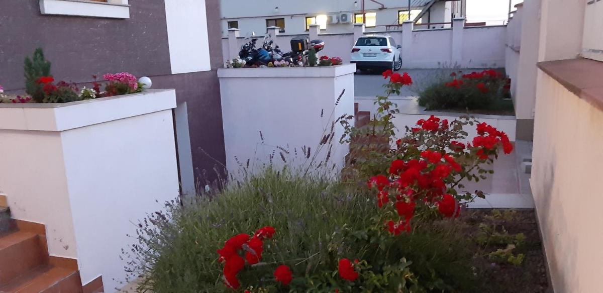 Vila Family - Housity