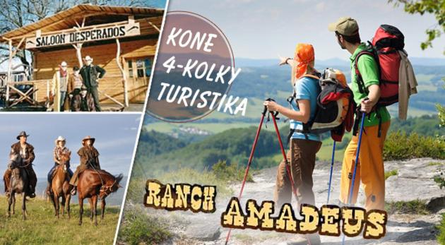 Penzion PANDA Tourist - Housity