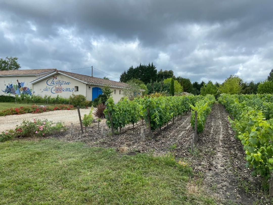 DOMAINE DU CASSANA - Housity