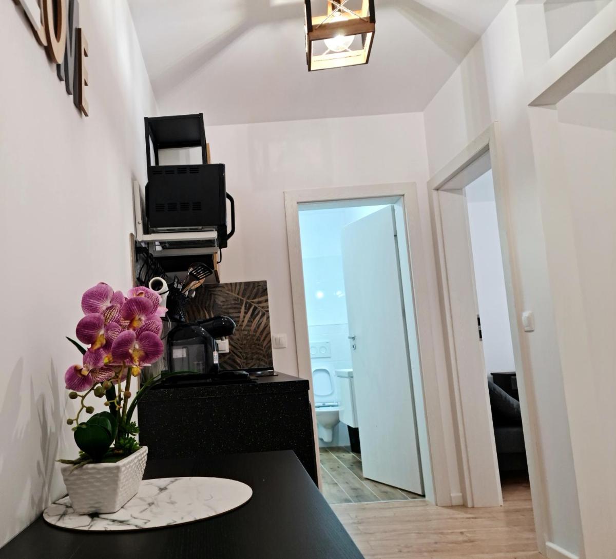 APARTAMENT ANTIK No6 ALBA IULIA - Housity