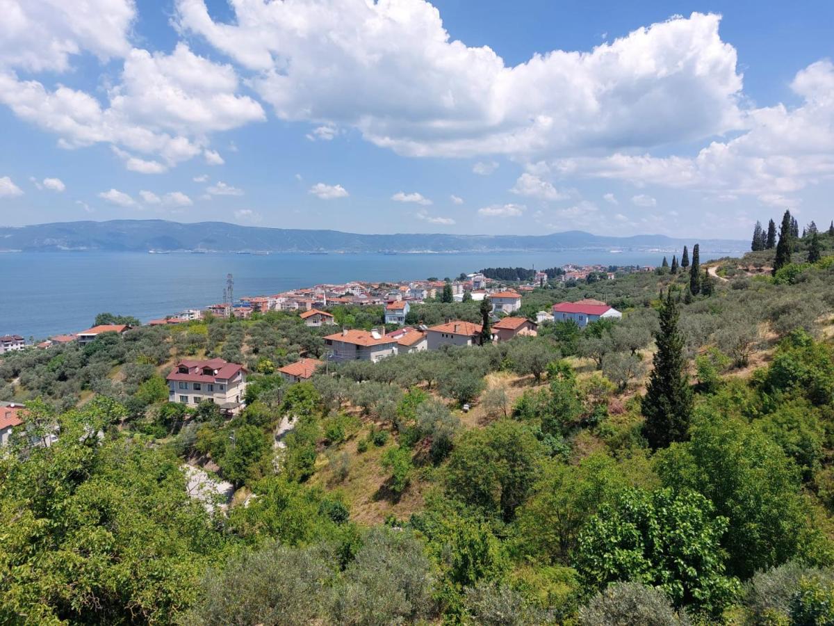 Sea view house - Housity