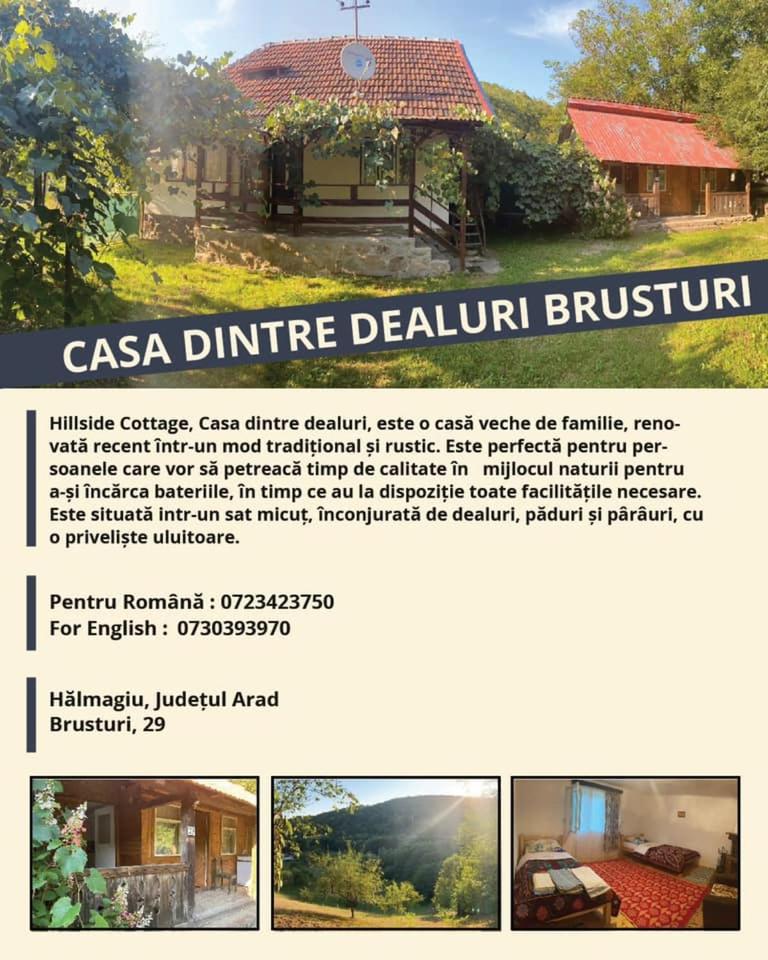 Suitetrails - Hillside Cottage Brusturi - Casa Dintre Dealuri