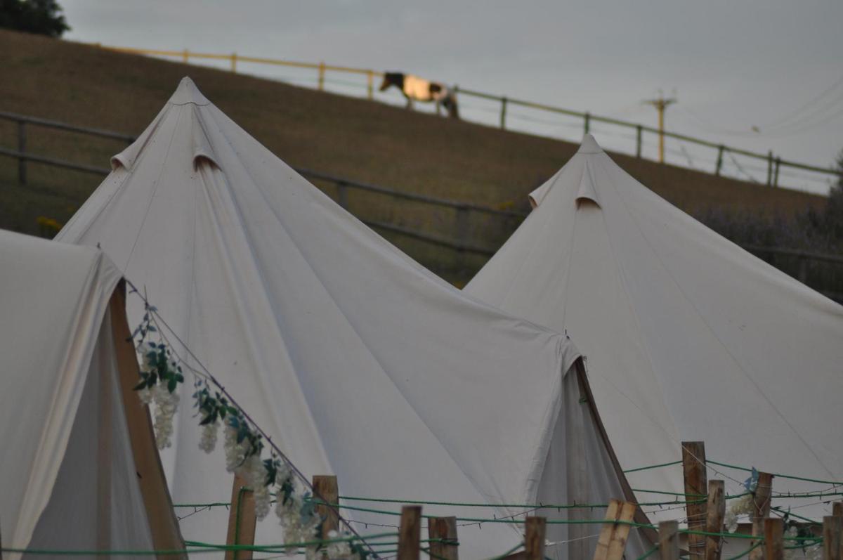 Walnut Tree Glamping - Housity