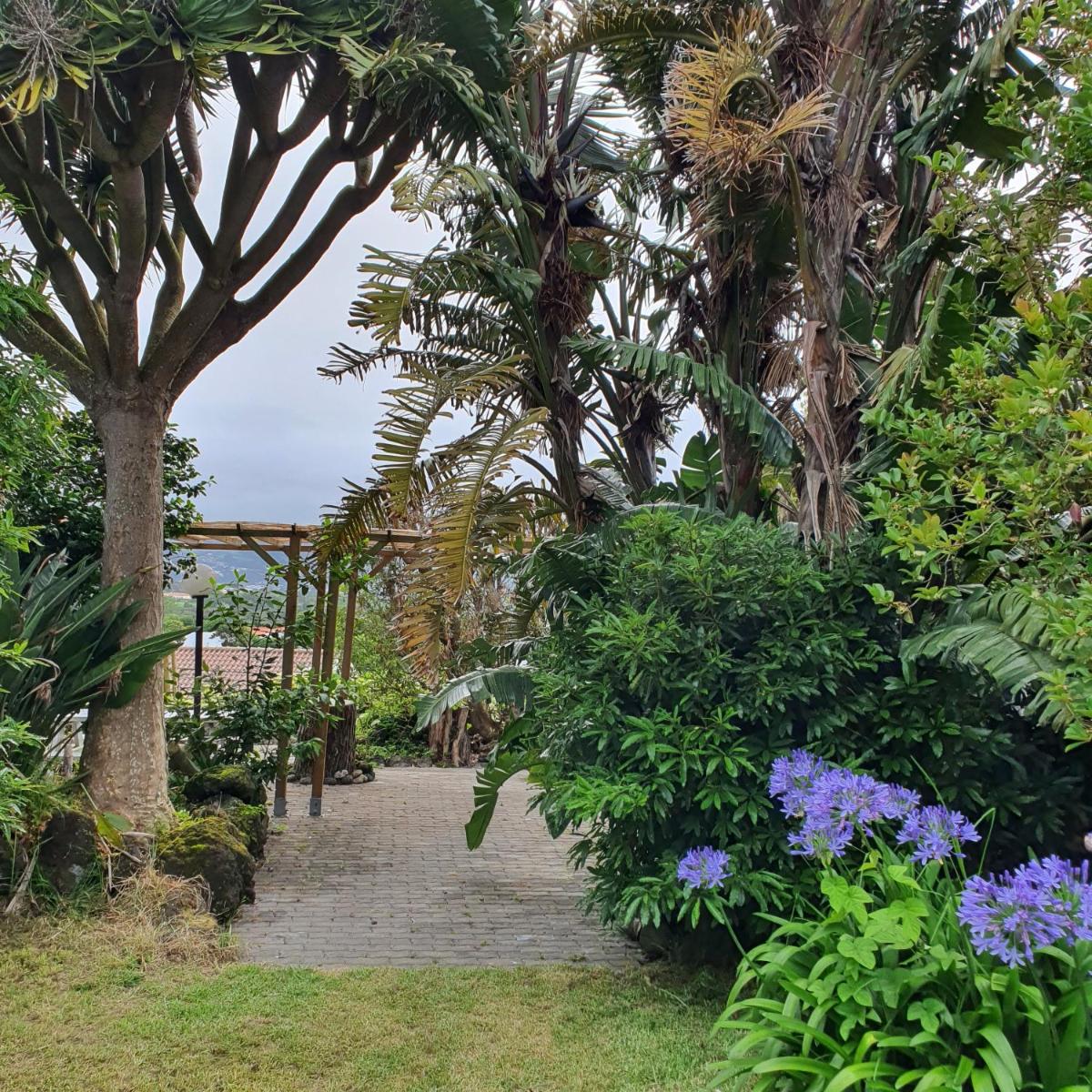 Casa Baleia á Vista - Housity