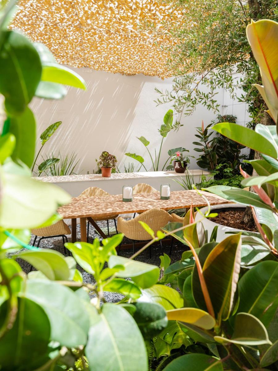 Jardín al aire libre en The Standard, Ibiza