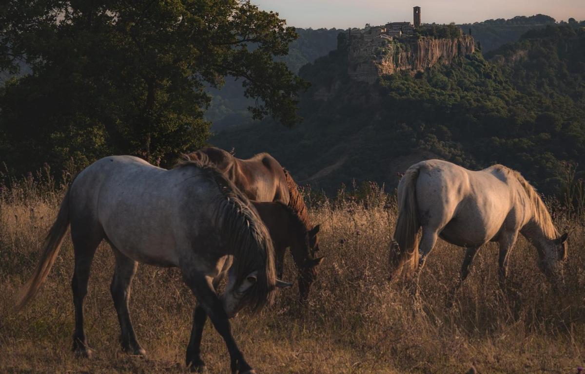 Your charm place with stunning view - Housity