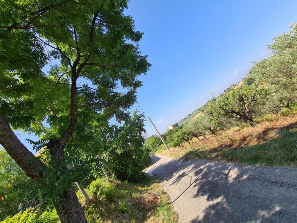 La Casetta in Collina - a pochi Km dal mare (Pe) - Housity