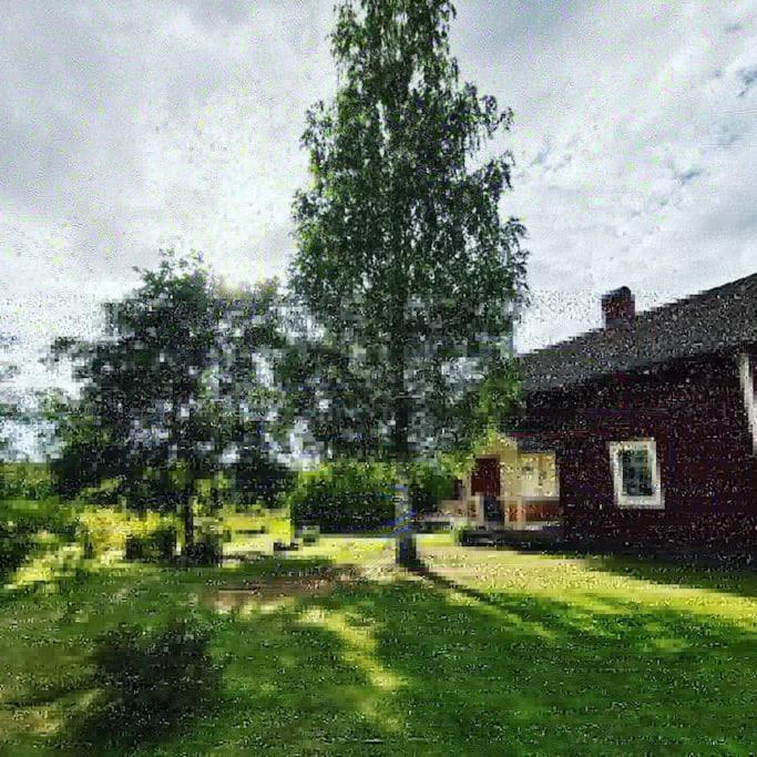 Lerviken cottage in the woods near lake - Housity