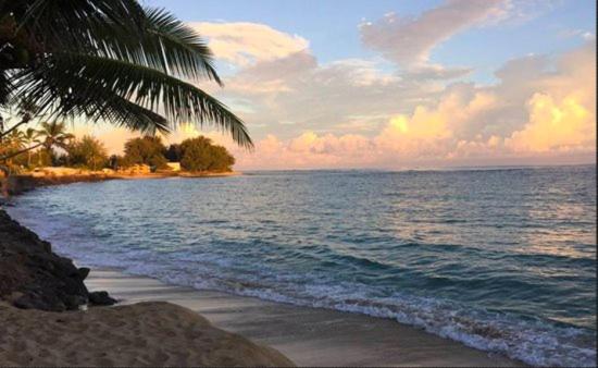 Exquisite Mokuleia Beach Cottage - Housity