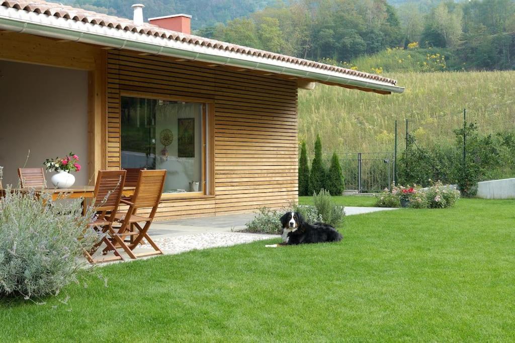 APPARTAMENTO NEL VERDE - Housity