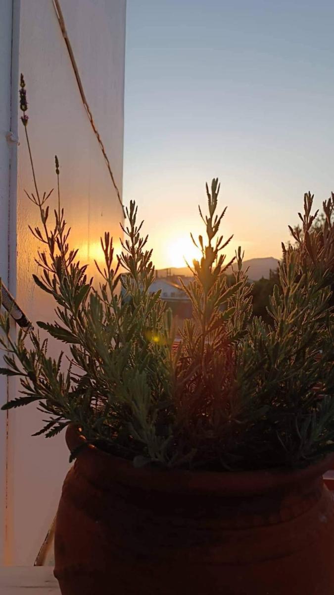 Filoxenia House - Housity