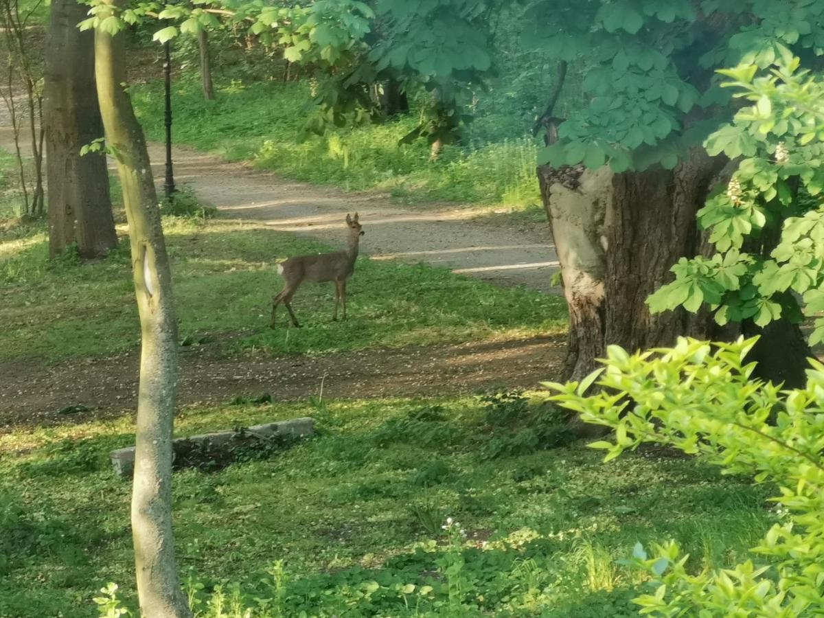 Pałac Kwilecki -AGROTURYSTYKA PREMIUM & SPA - Housity