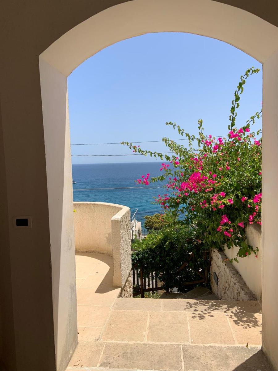 Dame del Mare - Housity