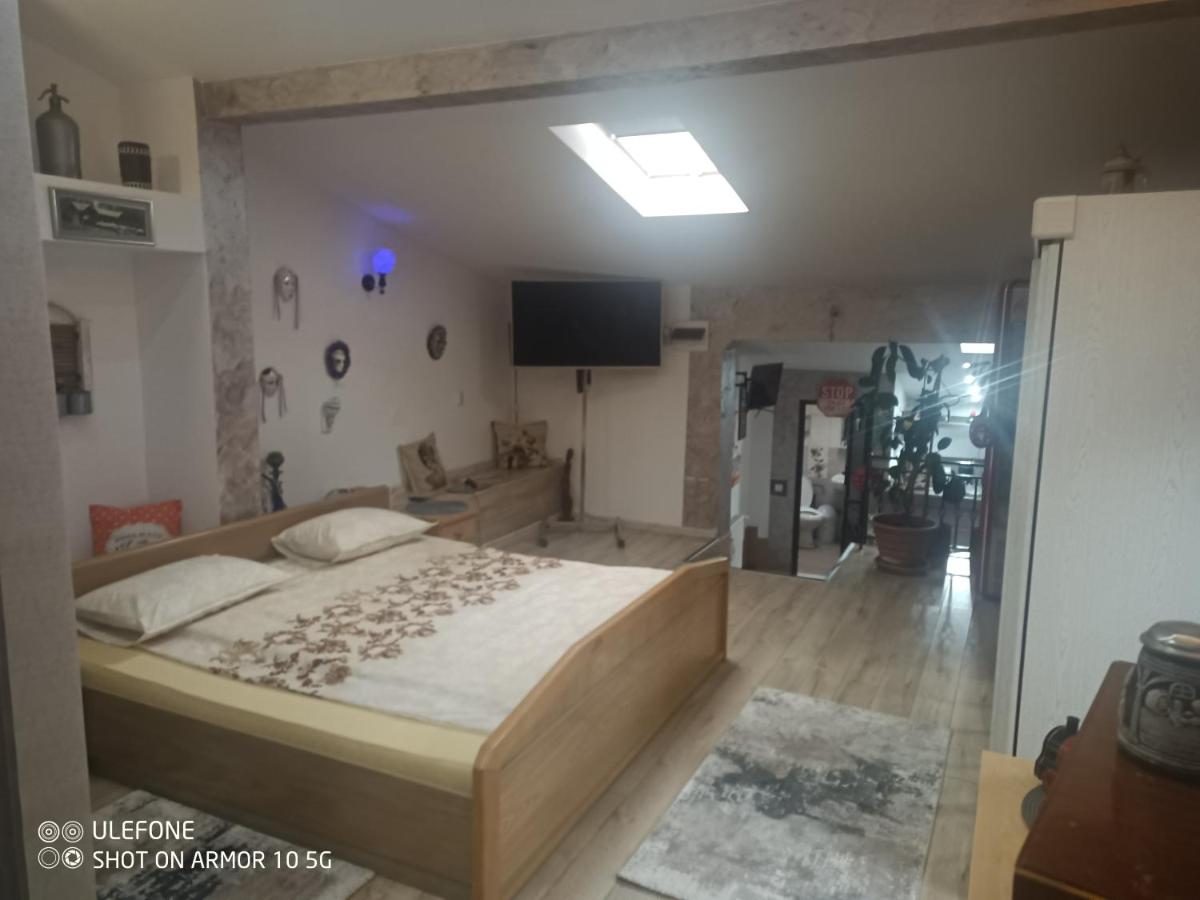Casa Lucescu - Housity