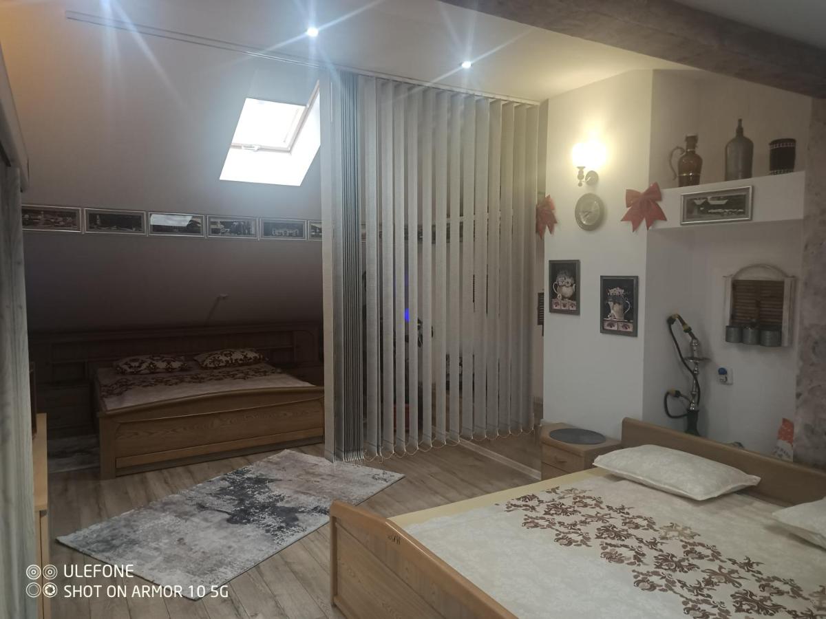 Casa Lucescu - Housity