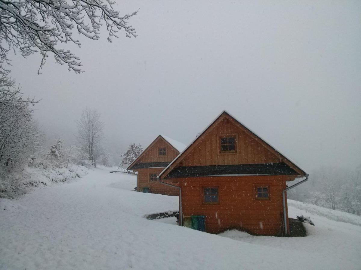 Domki Pod Dębem - Housity