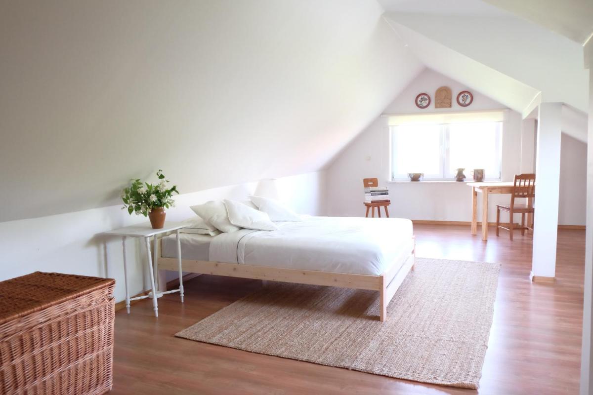 Domek nad stawem - Housity