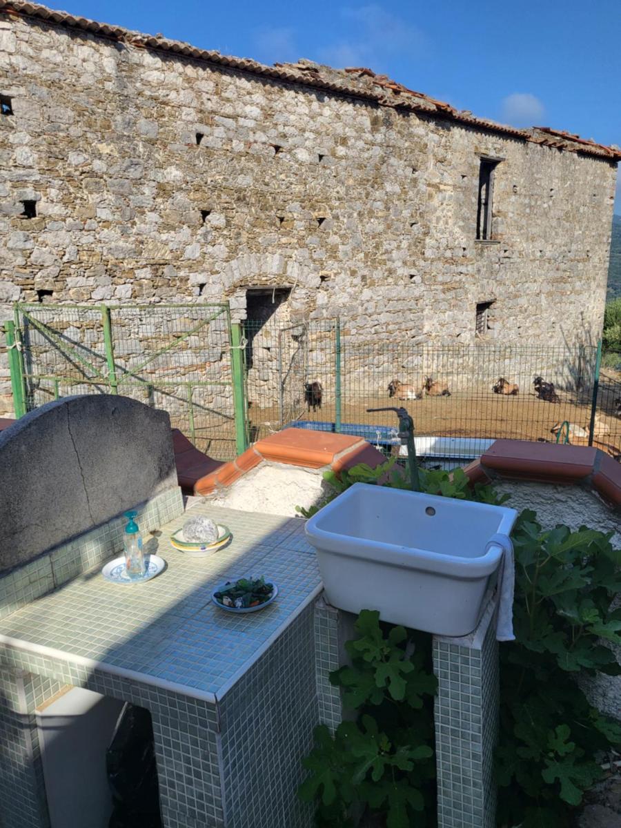 Casa vacanze Izzo Family - Housity