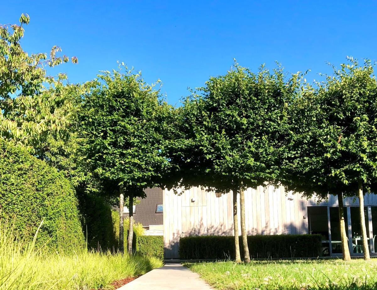 Gardenhouse 'The Block' - Ostend - private garden - IR cabine - AC - Housity
