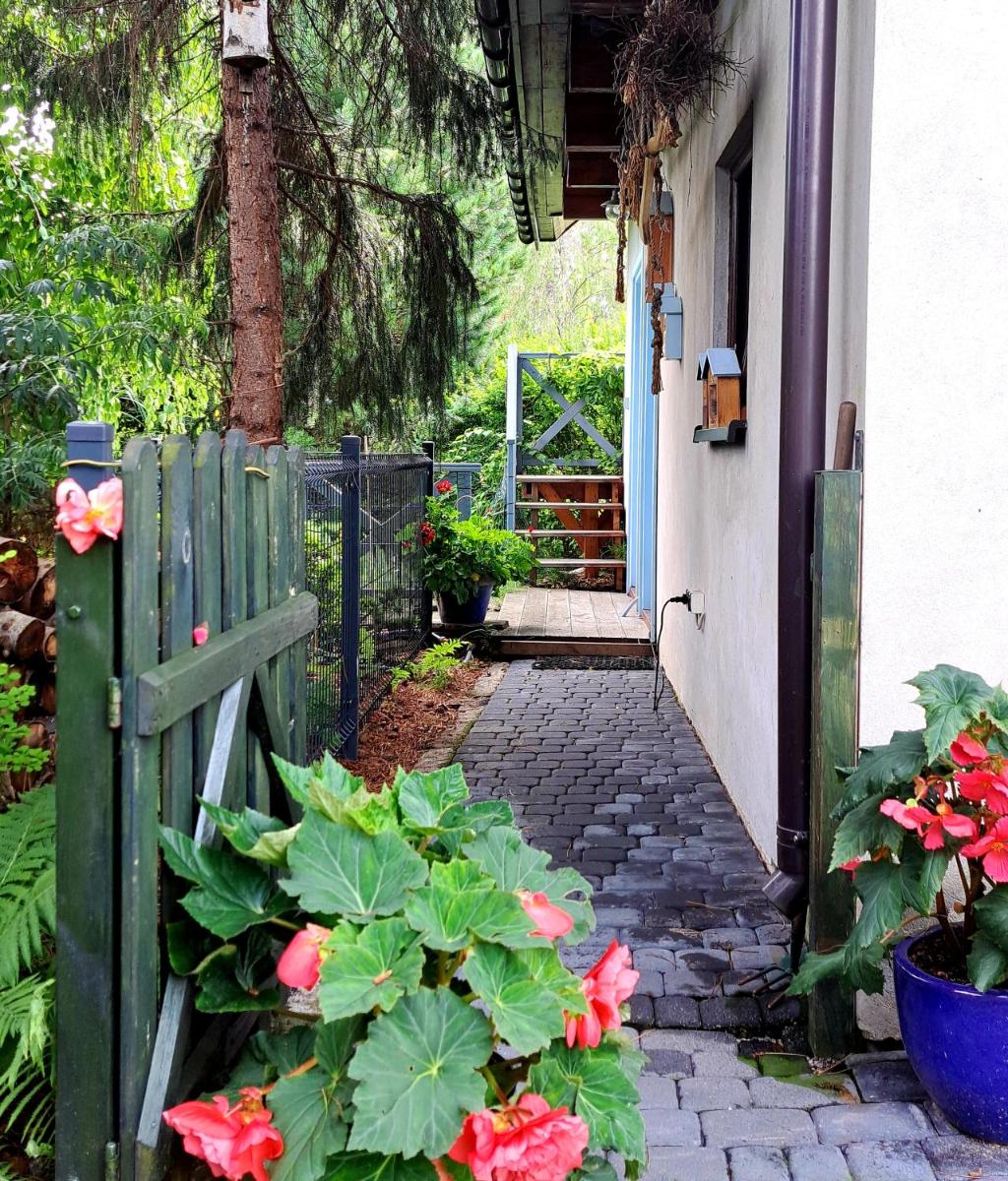 Apartament Droździkówka - Housity