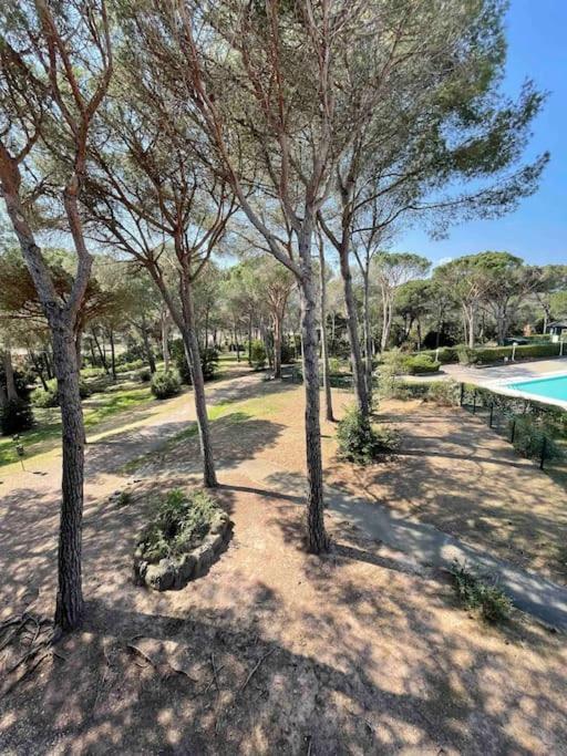 Studio cabine vu sur piscine - Housity