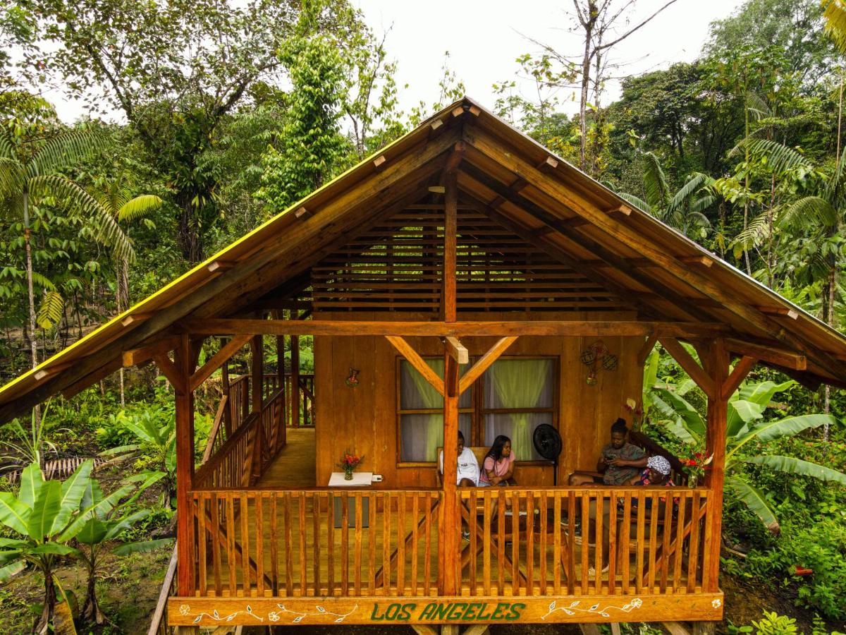 Mama Yeya raíces - Housity