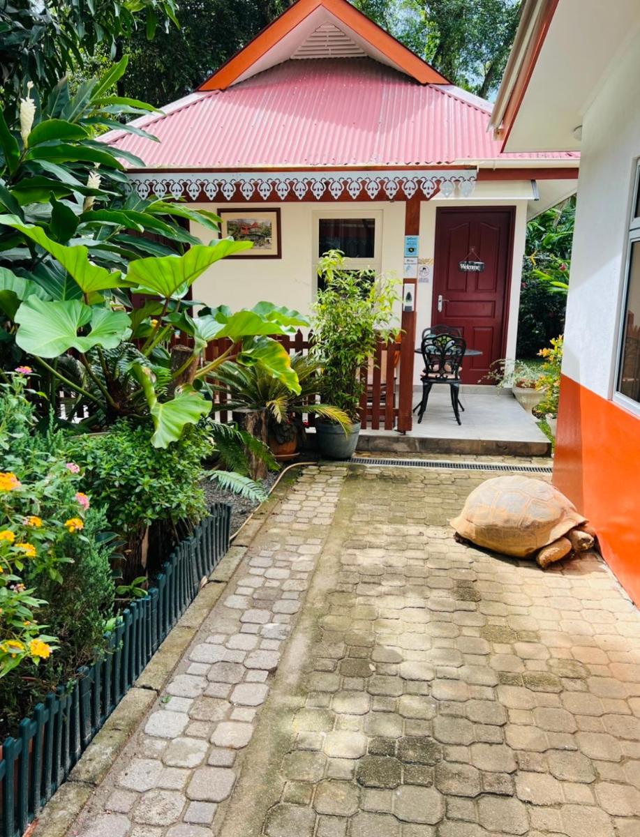 Garden Hut - Housity