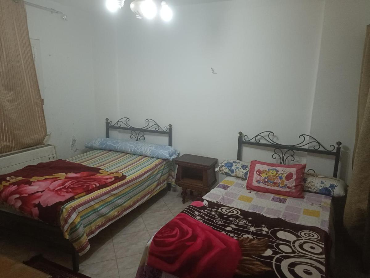 Apartment for rent in Nasr city, Cairo - Housity