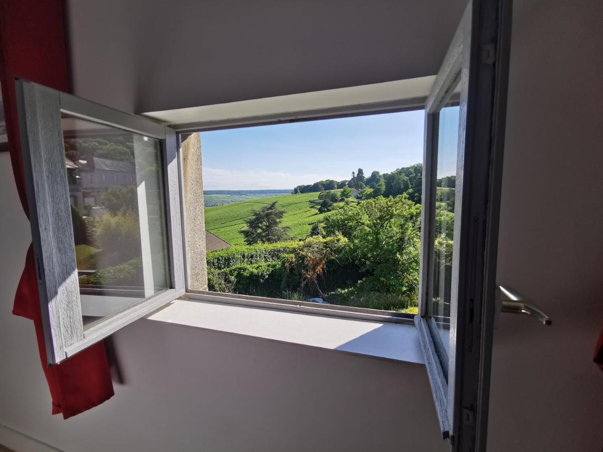 Le Sarment - HAUTVILLERS - Housity